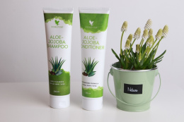 Zestaw Szampon i odżywka aloe z jojoba Shampoo & Conditioner Forever Living Product