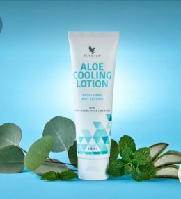 Aloe Cooling lotion krem na ból mięśniowo stawowy Forever Living Product